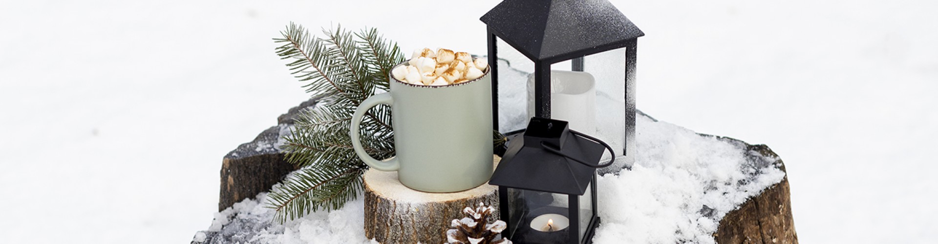 Зимовий пікнік: кейтеринг для катання на лижах або санчатах